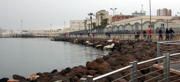 susiccu_moloichnusa_cagliari.jpg