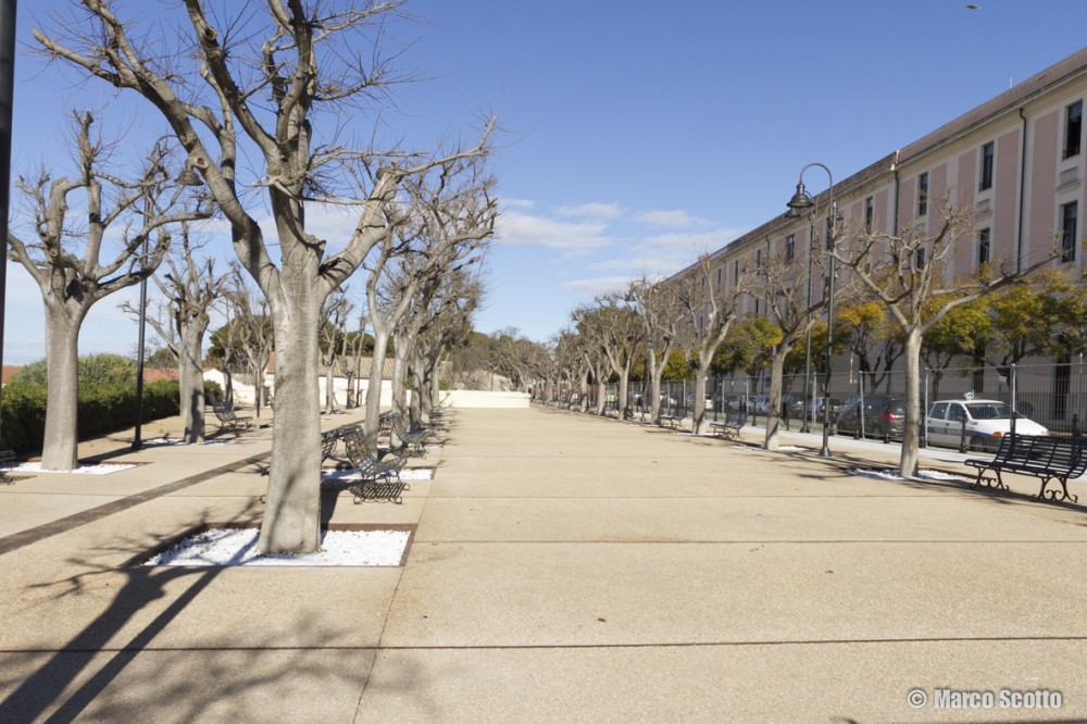 viale-buoncammino.jpg
